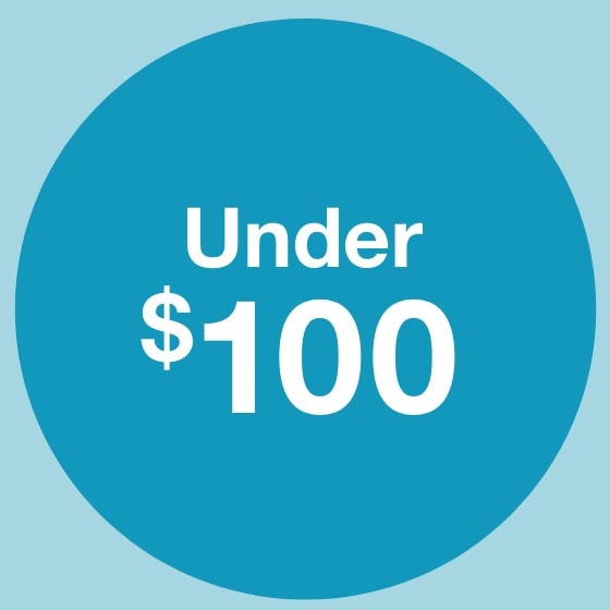 Gifts Under $100